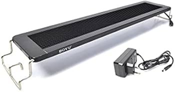led rump boyu CB-60