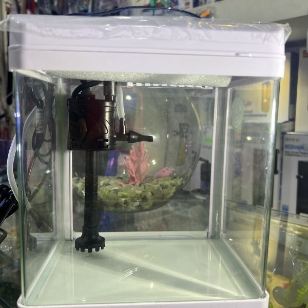 Aquarium importation 6 litres