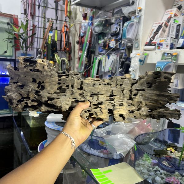 Dragon wood
